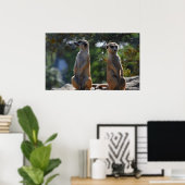 Meercat Poster (Thuiskantoor)