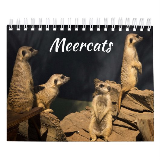 Meercats Calendar Kalender (Hoes)