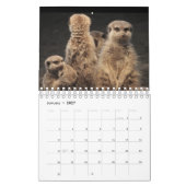 Meercats Calendar Kalender (Jan 2027)