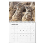 Meercats Calendar Kalender (Feb 2027)