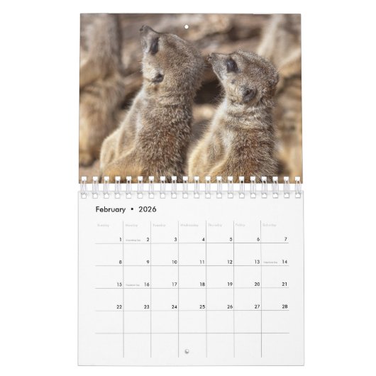 Meercats Calendar Kalender (Feb 2026)