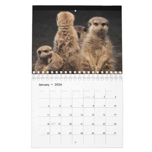 Meercats Calendar Kalender (Jan 2026)