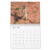 Meercats Calendar Kalender (Mar 2026)