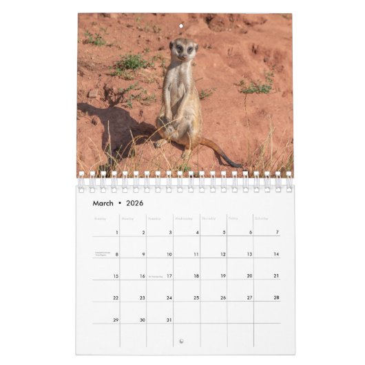 Meercats Calendar Kalender (Mar 2026)