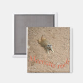 Meercats rock! magneet (Voorkant / Achterkant)