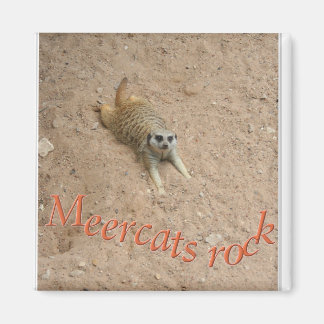 Meercats rock! magneet