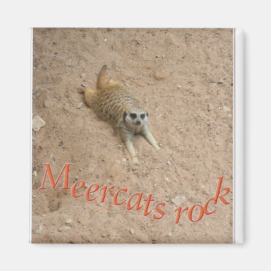 Meercats rock! magneet (Voorkant)