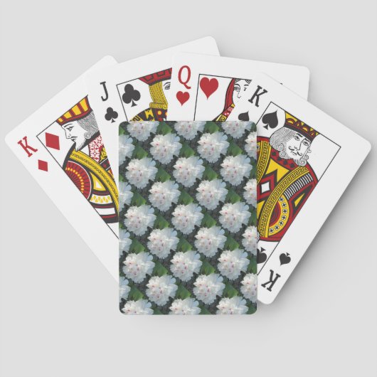 Meerdelige pony-speelkaarten pokerkaarten (Achterkant)