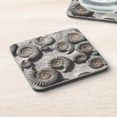 Meerdere fossiele ammonitoren uit de benedenas drankjes onderzetter (Linkerzijde)