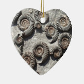 Meerdere fossiele ammonitoren uit de benedenas keramisch ornament (Rechts)