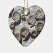 Meerdere fossiele ammonitoren uit de benedenas keramisch ornament (Links)