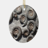 Meerdere fossiele monitoren uit de benedenas keramisch ornament (Rechts)