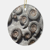 Meerdere fossiele monitoren uit de benedenas keramisch ornament (Links)