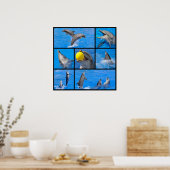 Meerdere foto's van dolfijnen poster (Keuken)