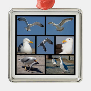 Meerdere foto's van zeegarren metalen ornament