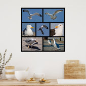 Meerdere foto's van zeegarren poster (Keuken)