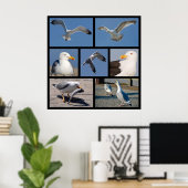 Meerdere foto's van zeegarren poster (Thuiskantoor)