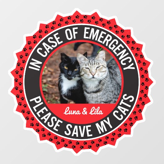 Meerdere Katten Veiligheidswaarschuwing Aangepaste Raamsticker (Vel)