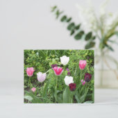 Meerdere kleuren Tulpen DIY Briefkaart (Staand voorkant)