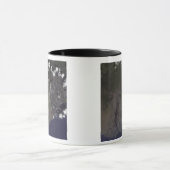 Meerdere loodsen blazen naar het zuidzuidzuidweste mok (Midden)