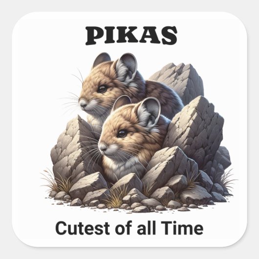 Meerdere pikas op een vel vierkante sticker (Voorkant)