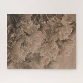 Meerdere pioenen in sepia legpuzzel (Horizontaal)