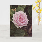 Meerderlijke Kaart van de Manuscript van het Roos  (Gele Bloem)