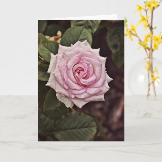 Meerderlijke Kaart van de Manuscript van het Roos (Gele Bloem)