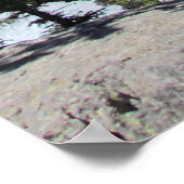 Meerderlijke Natuur in Estes Park Colorado Poster (Hoek)