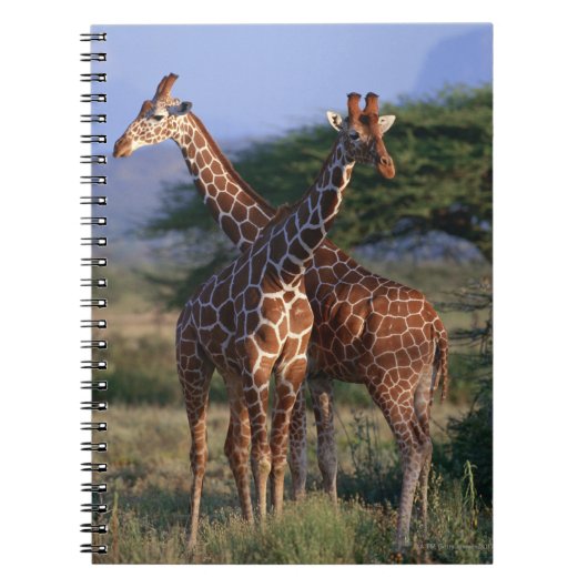 MeerhuisGiraffes Notitieboek (Voorkant)