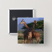 MeerhuisGiraffes Vierkante Button 5,1 Cm (Voorkant /achterkant)