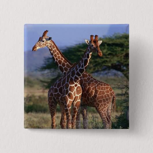 MeerhuisGiraffes Vierkante Button 5,1 Cm (Voorkant)