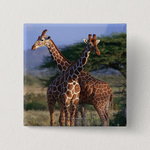 MeerhuisGiraffes Vierkante Button 5,1 Cm