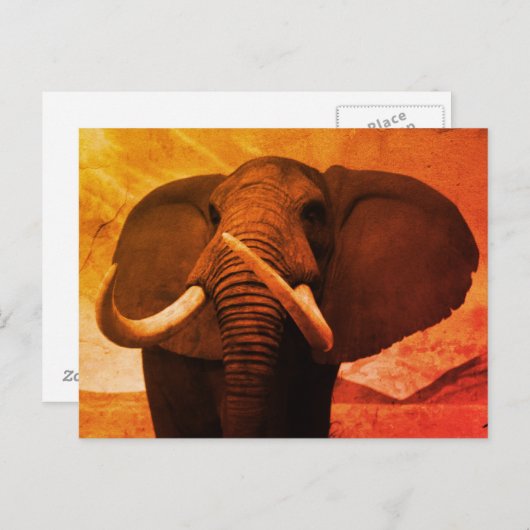 Meerhuisstatus Briefkaart (Voorkant / Achterkant)