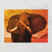 Meerhuisstatus Briefkaart (Voorkant)