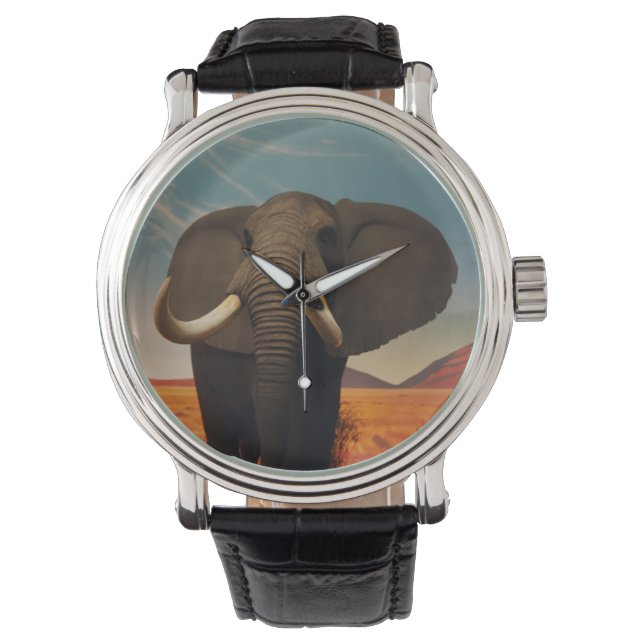 Meerhuisstatus Horloge (Voorkant)