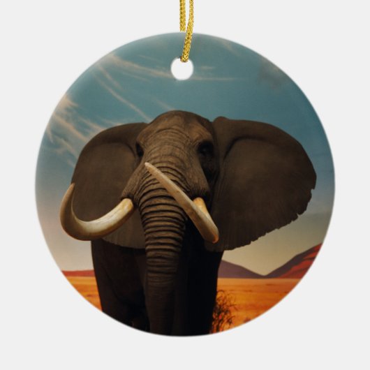 Meerhuisstatus Keramisch Ornament (Voorkant)