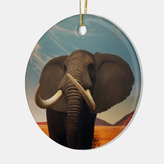 Meerhuisstatus Keramisch Ornament (Links)