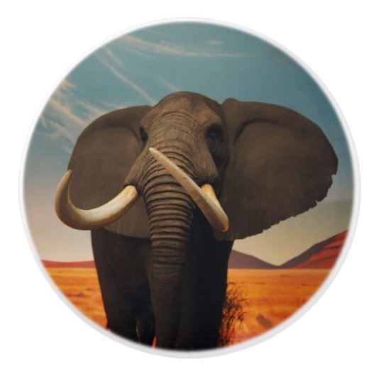 Meerhuisstatus Keramische Knop (Voorkant)