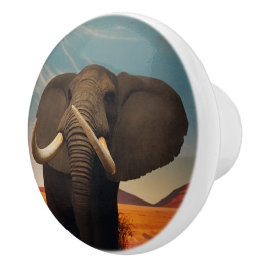 Meerhuisstatus Keramische Knop (Rechts)