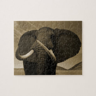 Meerhuisstatus Legpuzzel