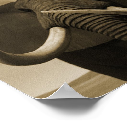 Meerhuisstatus Poster (Hoek)