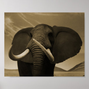 Meerhuisstatus Poster