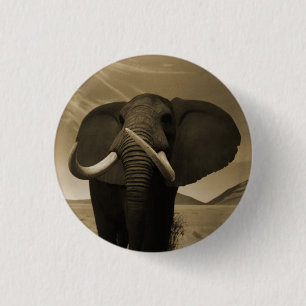 Meerhuisstatus Ronde Button 3,2 Cm
