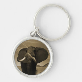 Meerhuisstatus Sleutelhanger