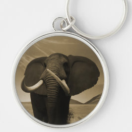 Meerhuisstatus Sleutelhanger