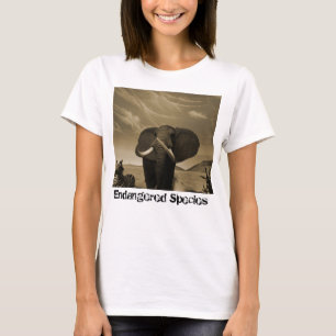 Meerhuisstatus T-shirt