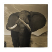 Meerhuisstatus Tegeltje (Voorkant)