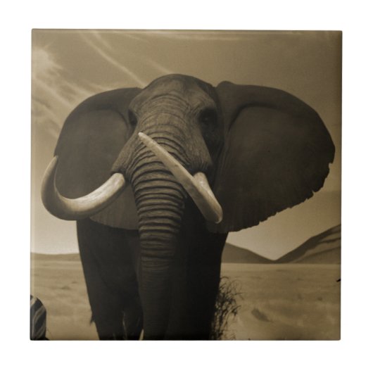 Meerhuisstatus Tegeltje (Voorkant)