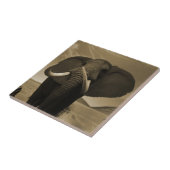 Meerhuisstatus Tegeltje (Zijkant)